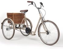 Charakterystyka roweru trzykołowego G-2119 Retro